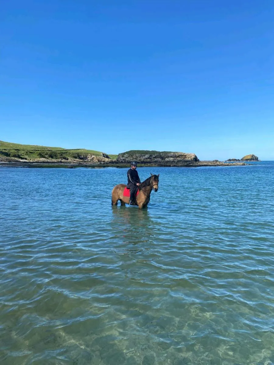 ☘️☘️DUN FILLY ☘️☘️ - Image 3