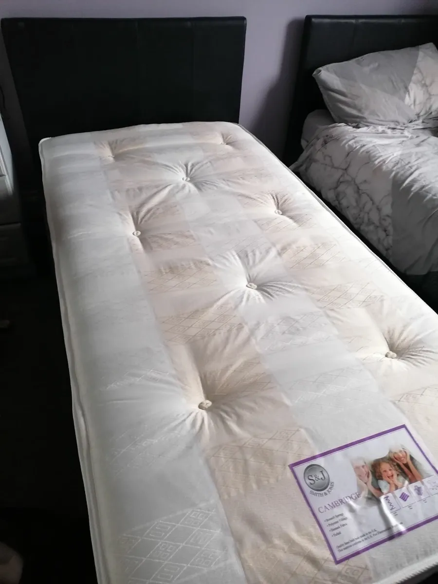 Single Ottoman bed - Image 1