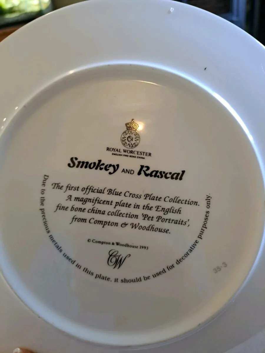 Royal Worcester Smokey and Rascal plate - Image 4