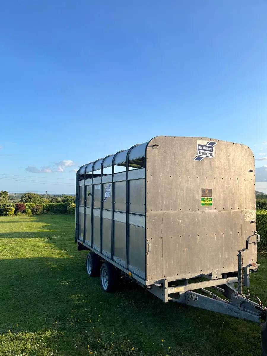 Mint condition 12ft x 6ft Ifor Williams Cattle box - Image 1