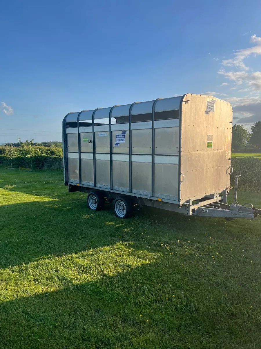 Mint condition 12ft x 6ft Ifor Williams Cattle box - Image 2