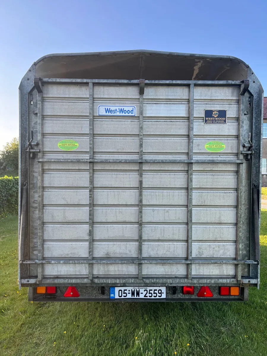 Mint condition 12ft x 6ft Ifor Williams Cattle box - Image 3