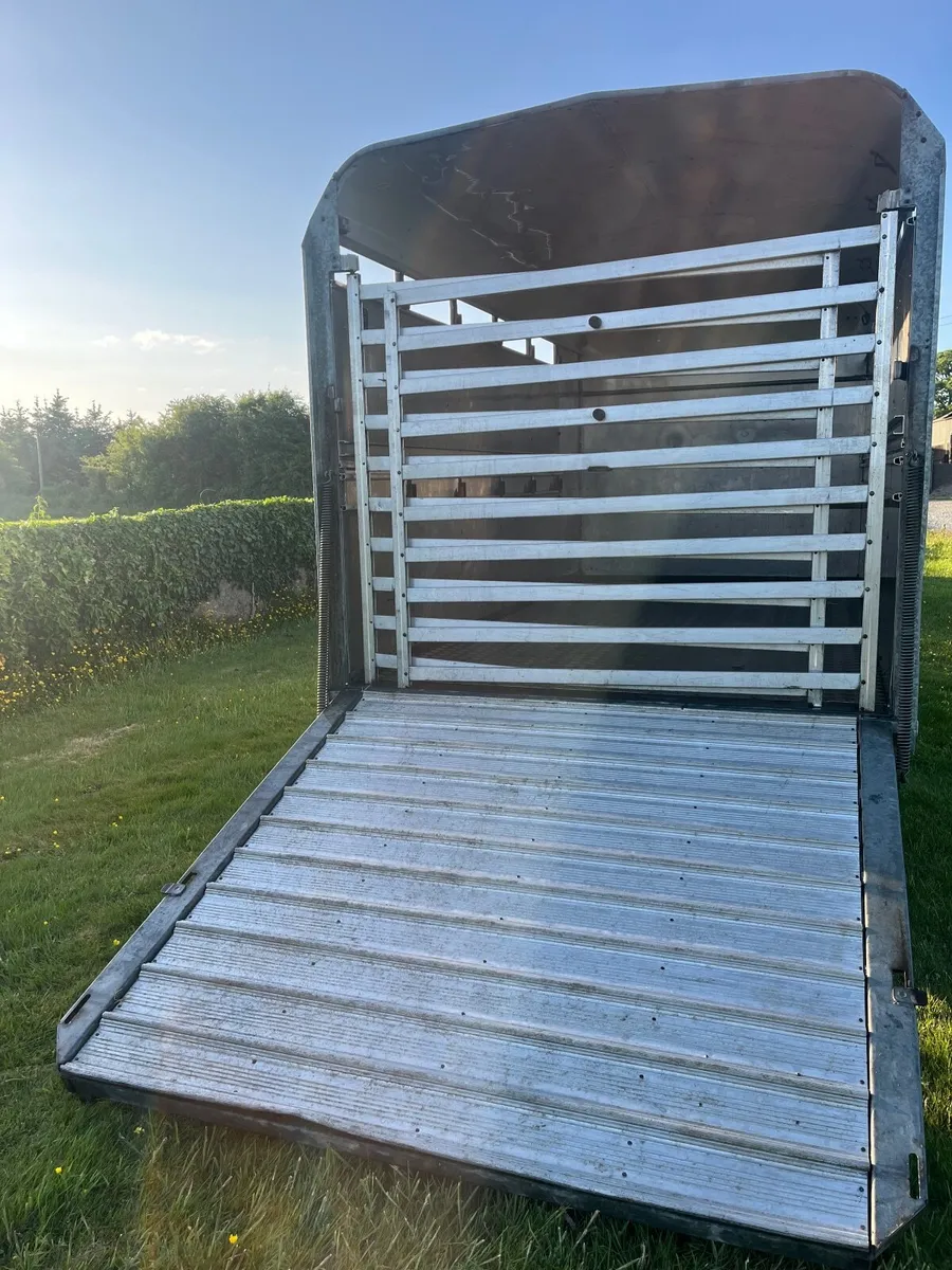 Mint condition 12ft x 6ft Ifor Williams Cattle box - Image 4
