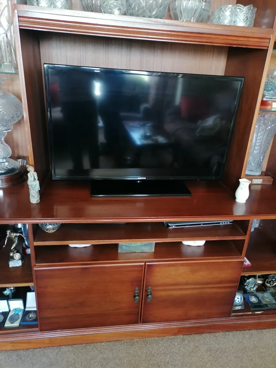 Mahogany Display Cabinet - Image 3