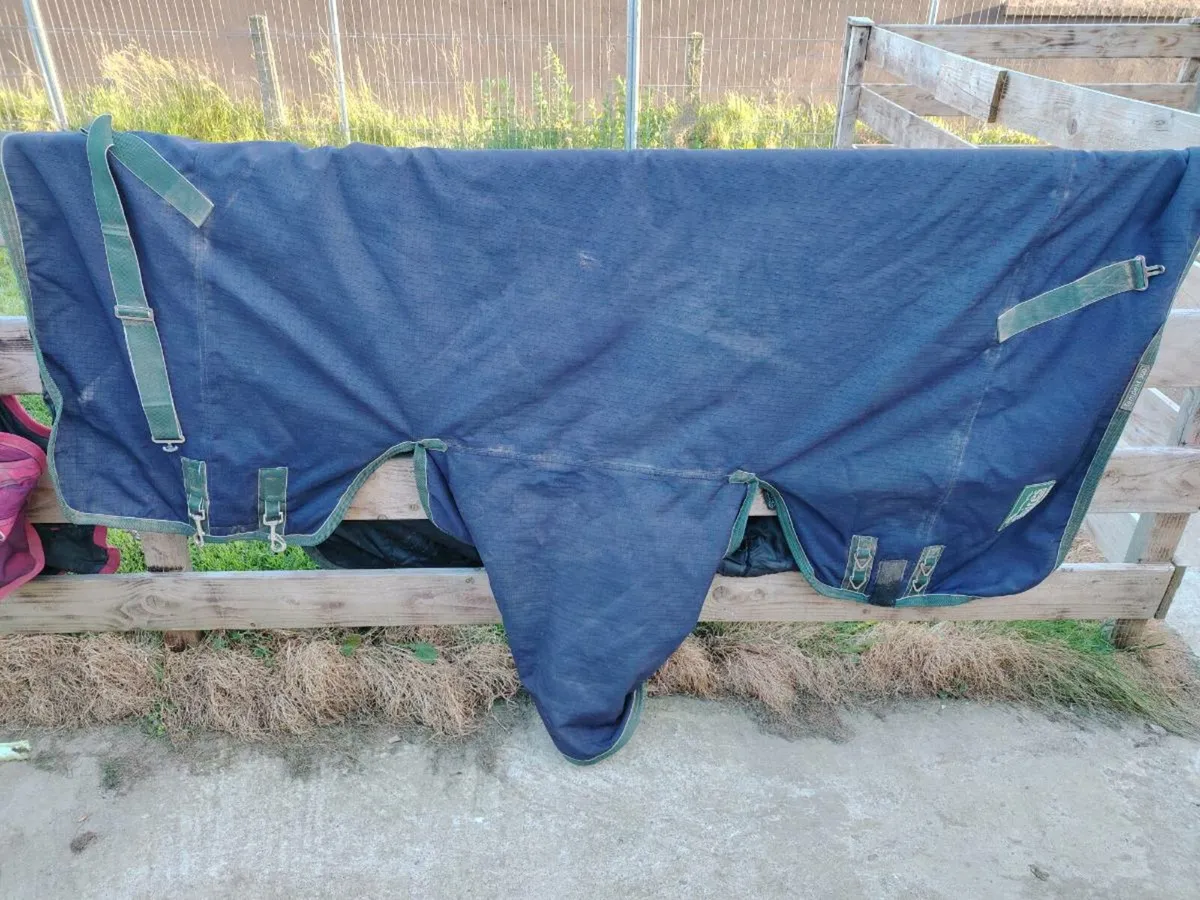 Equine equipment saddle rug girth - Image 3