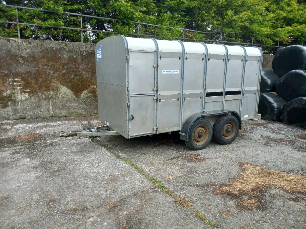 Ifor williams trailer - Image 1