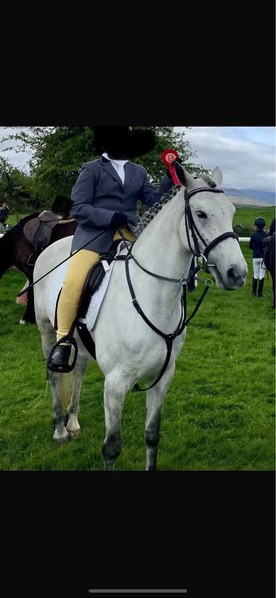 Brood mare - Image 1