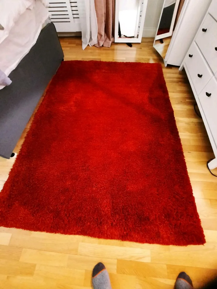Heavyweight Curtains and Rug - Image 2