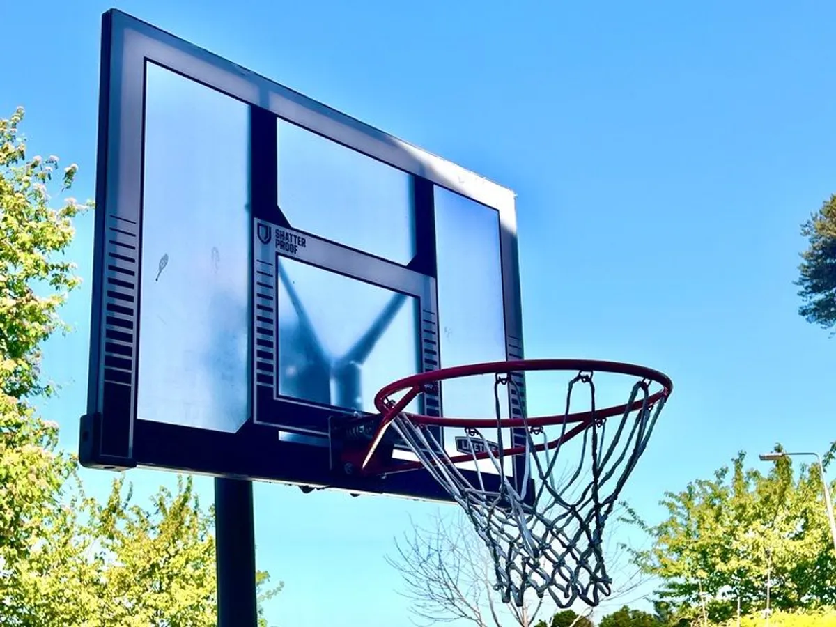 HitSport adjustable/moveable basketball hoop - Image 1