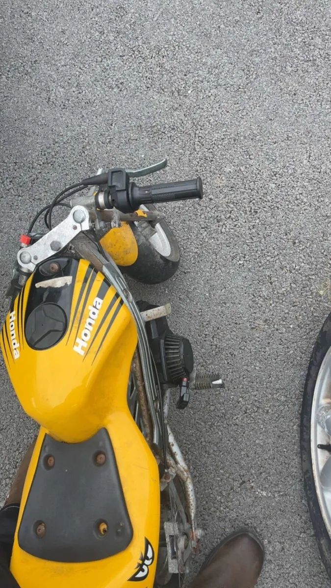 50cc mini moto - Image 2