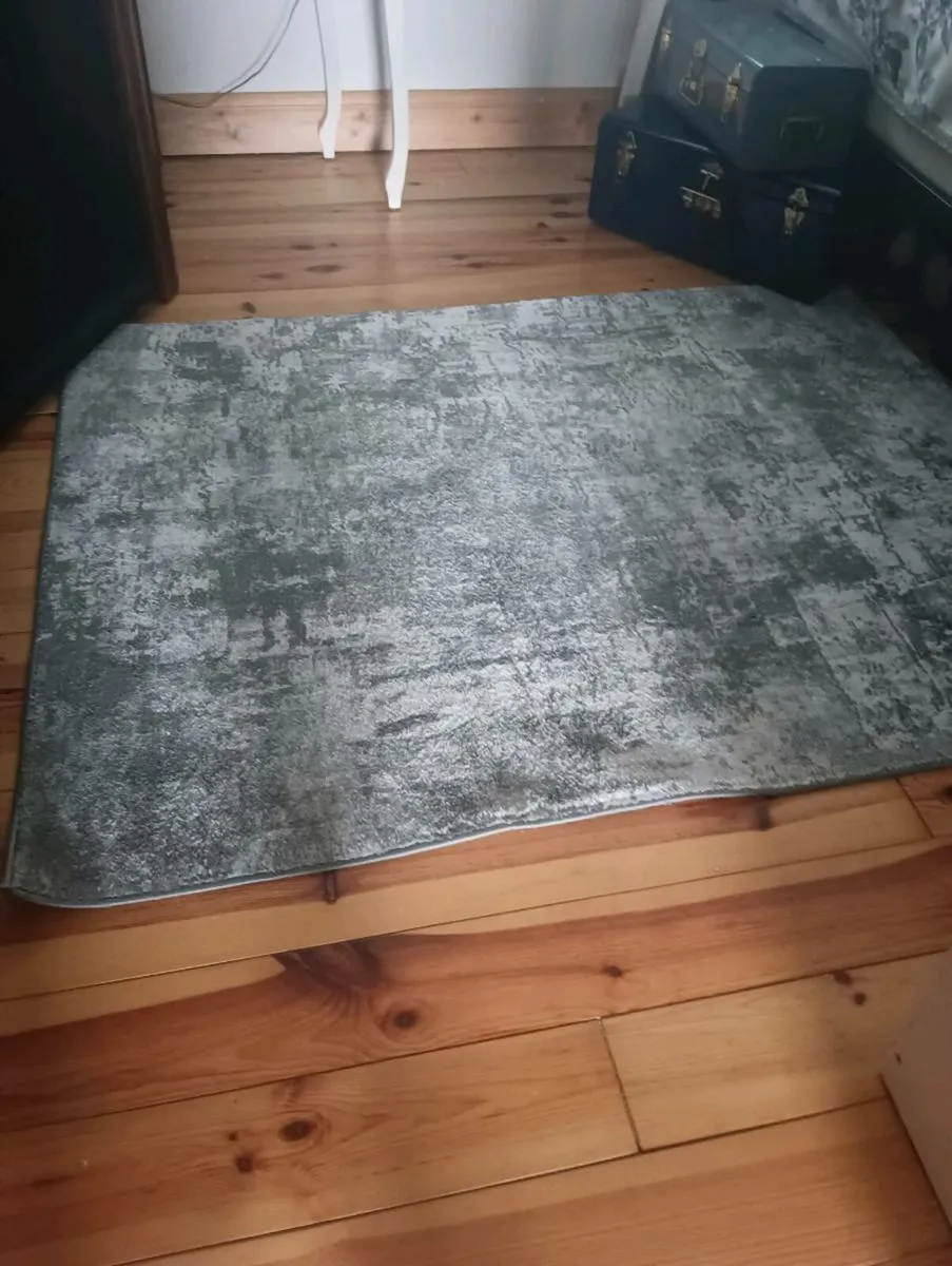 Lovely gray white mixture large rug - Image 2