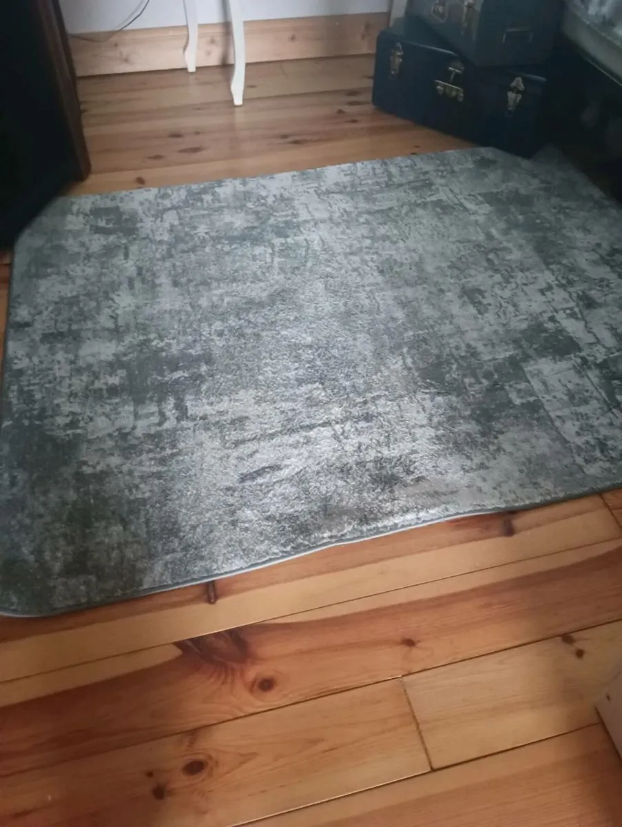 Lovely gray white mixture large rug - Image 4