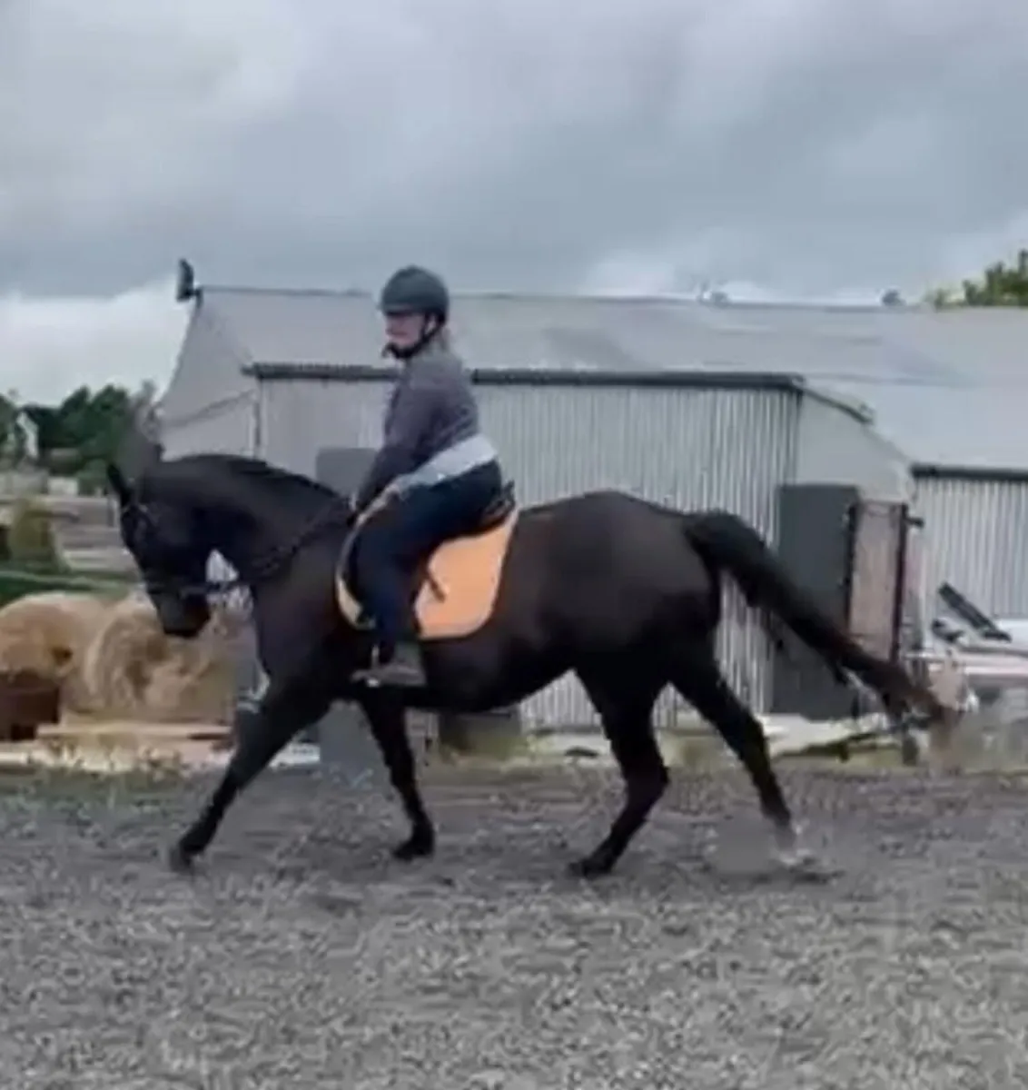 Stunning Allrounder - Image 4