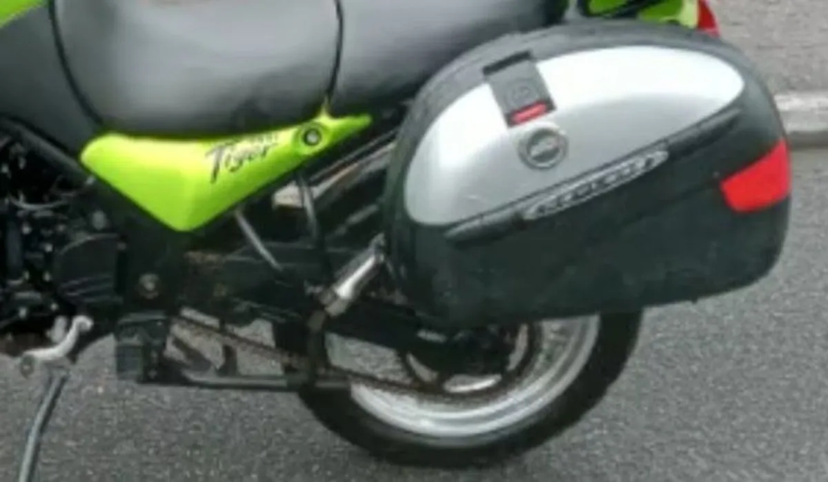 2002 Triumph Tiger 955i           NOW REDUCED - Image 3
