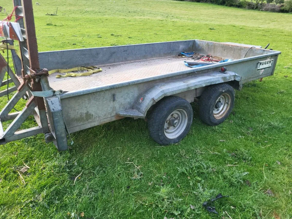 Plant trailer 12 x 6 - Image 2