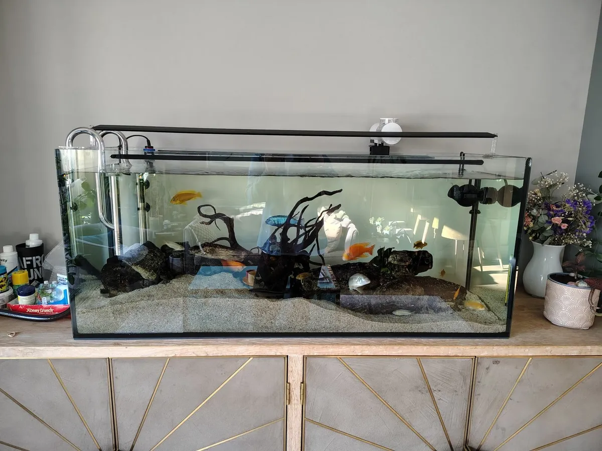 Aquarium - Image 4