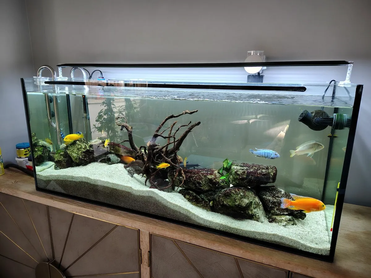 Aquarium - Image 1