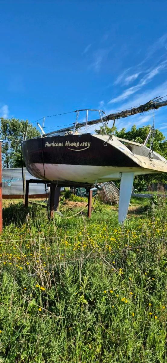 Race Yacht for Sale, OPEN TO OFFER MAY SWAP. - Image 1
