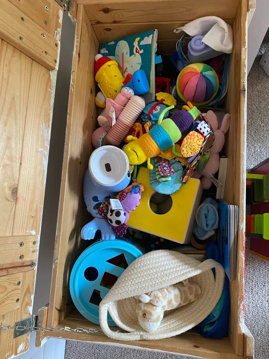 Zany zoo and chest of toys for 0 to 1 year old - Image 2