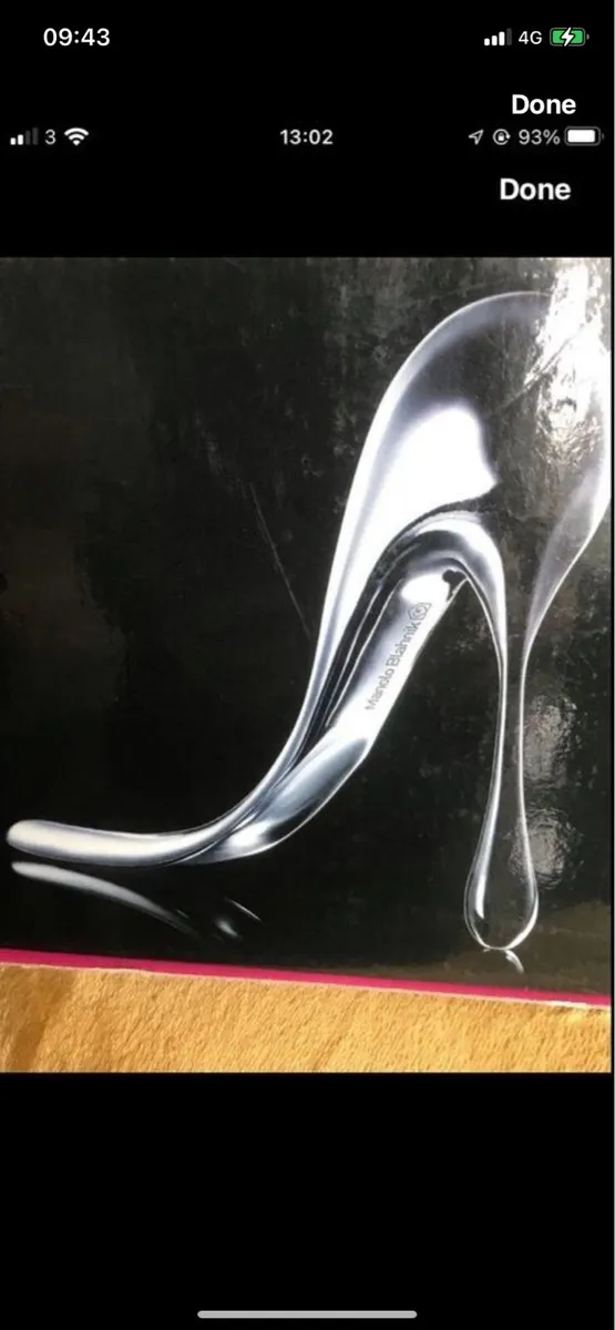 Manolo Blahnik Shoehorn- Limited Edition - Image 2