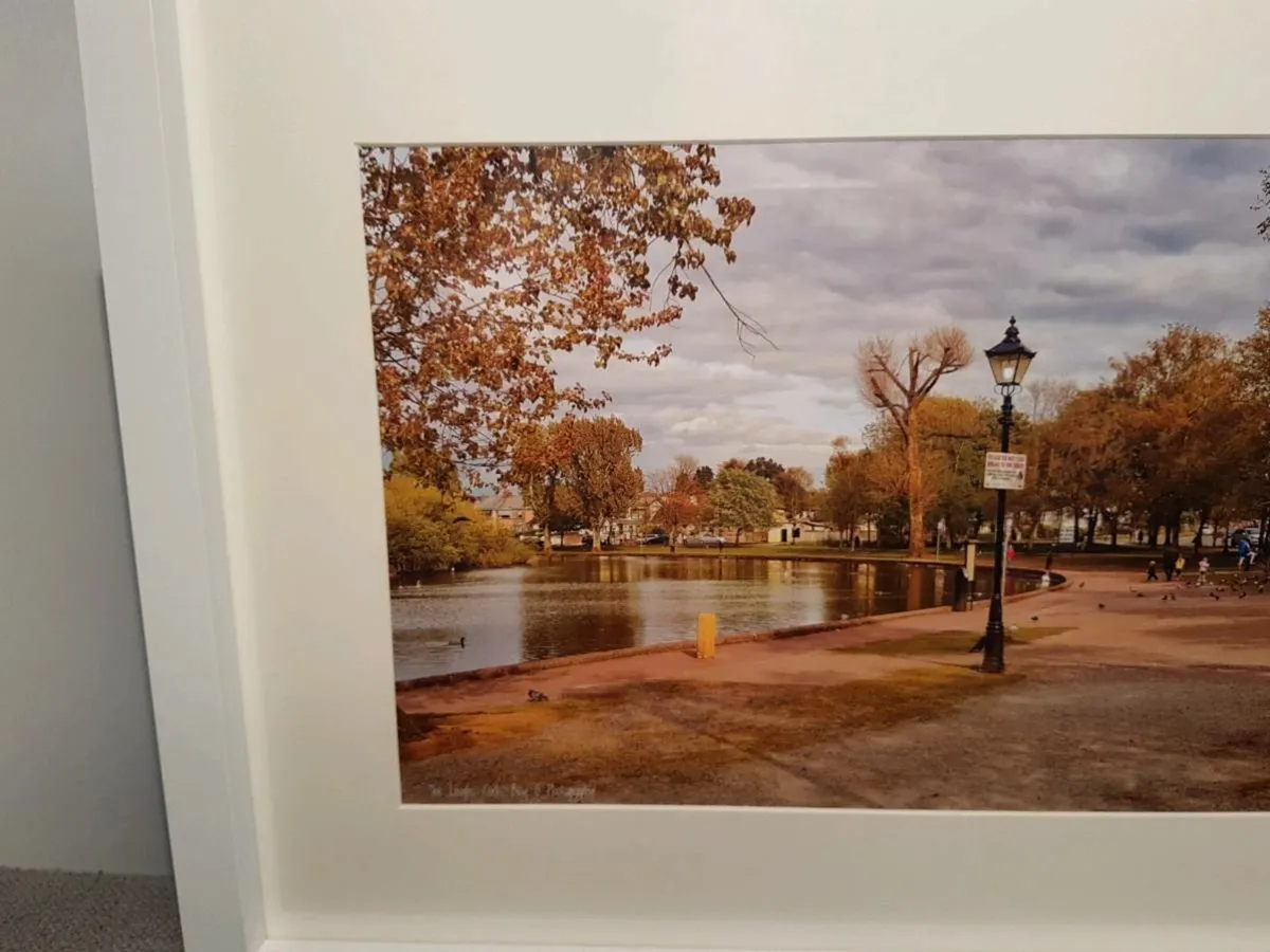 The Lough, Cork - Image 2