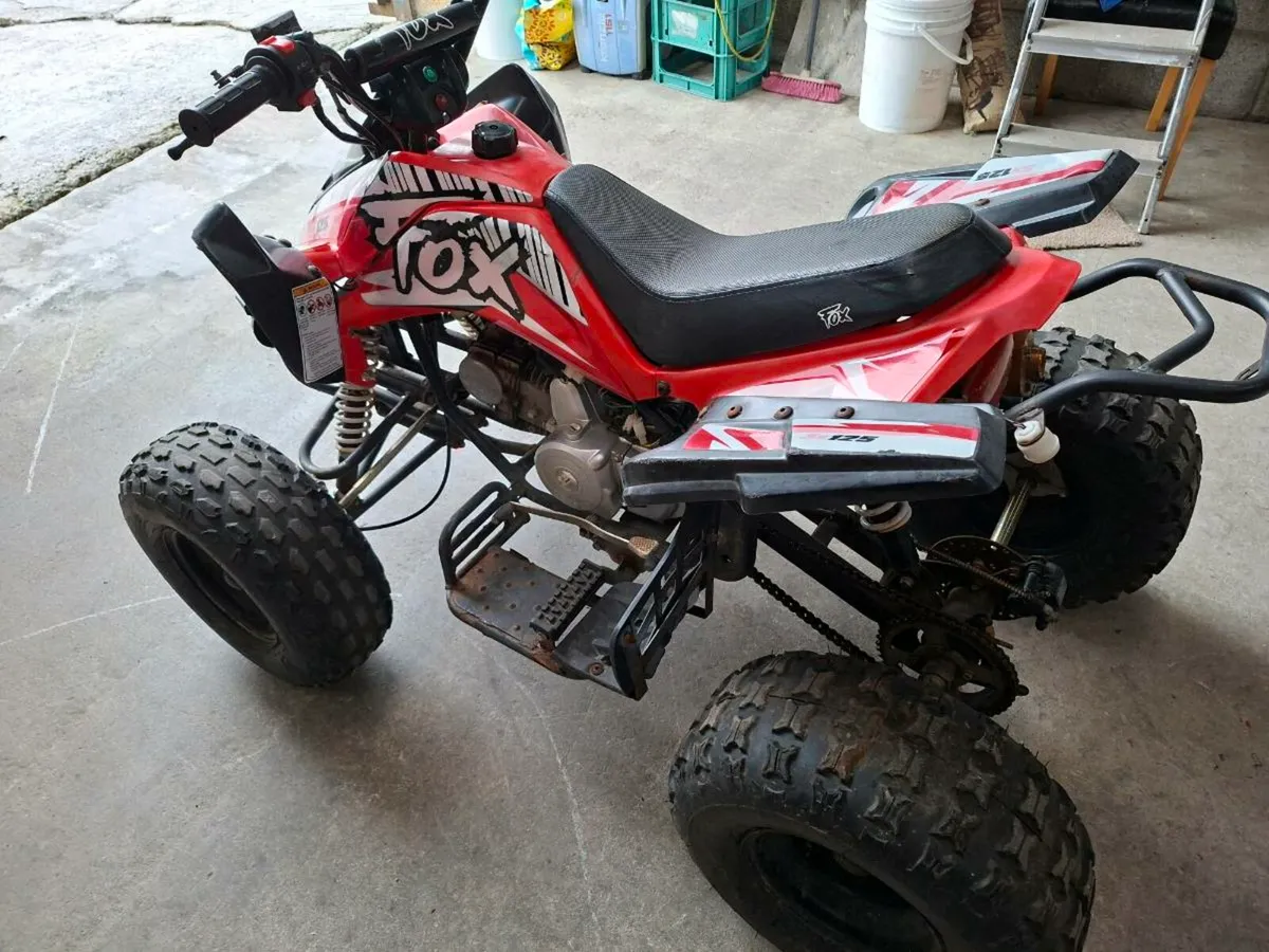 Fox 125 kids quad - Image 2