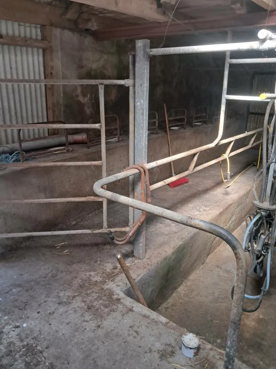 Milking parlour - Image 2
