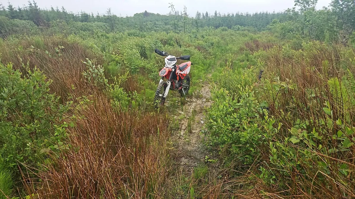 BETA Other 2016 - Image 2