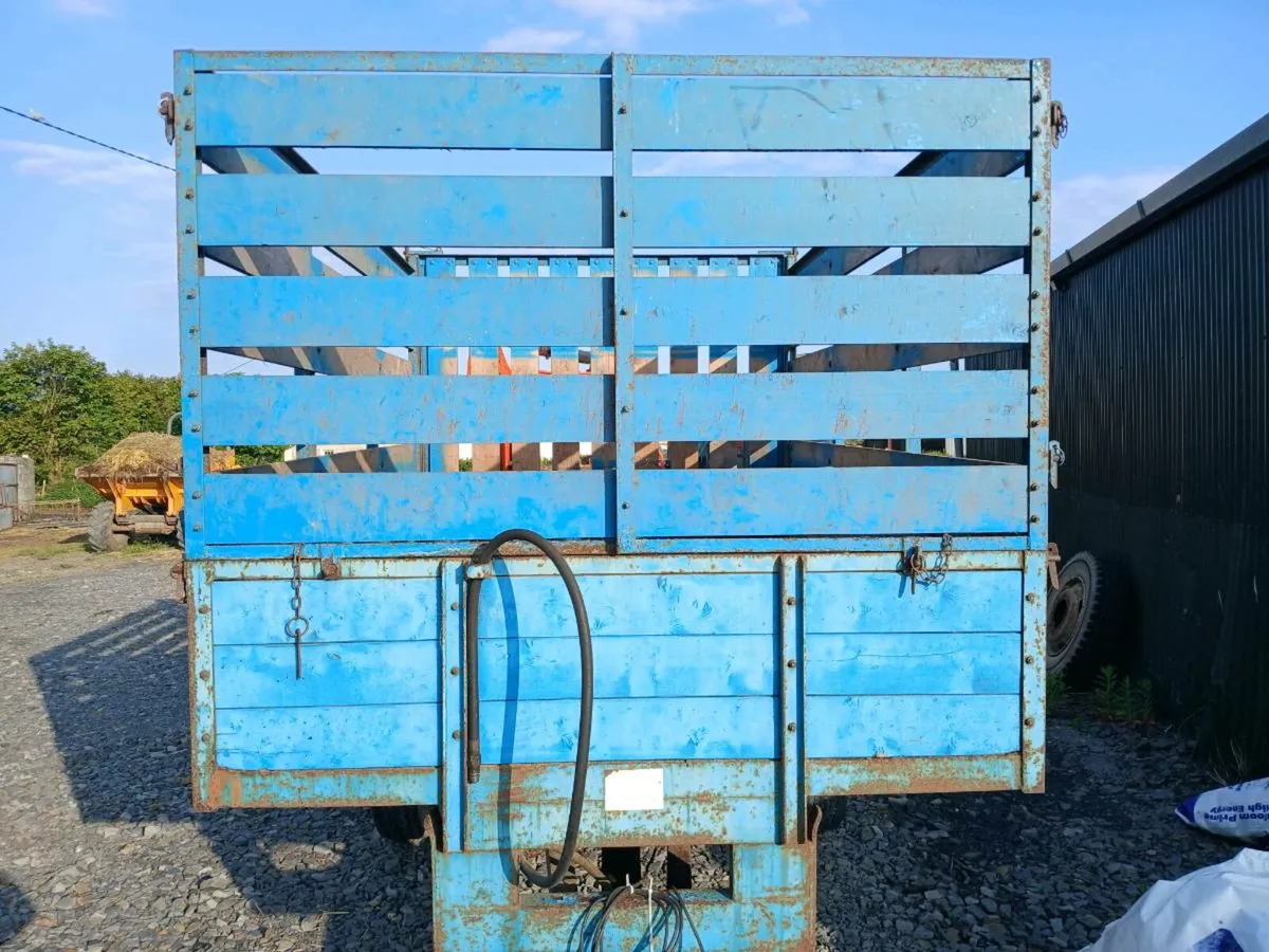 Tipping trailer - Image 3