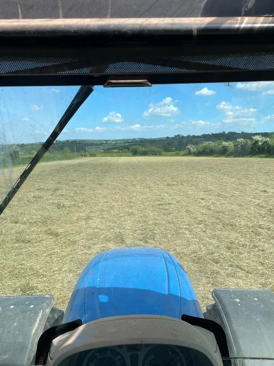 Haylage - Image 1