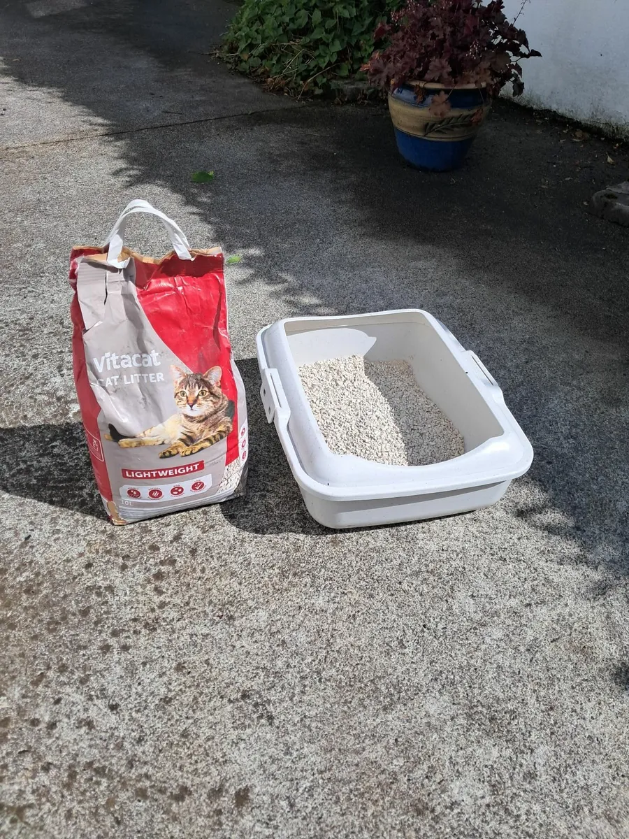 Cat Litter Tray - Image 1