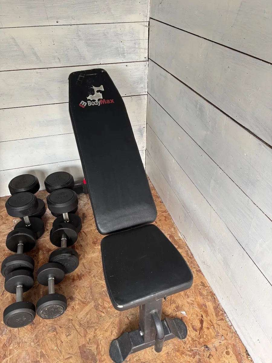 Dumbell Set and Bench - Image 2