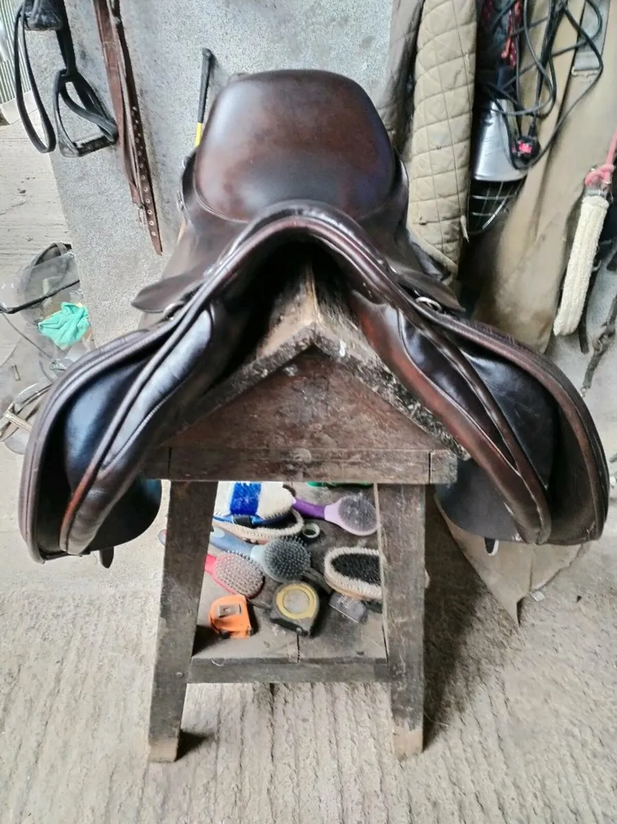 18.5" Wide English Saddle - Image 3