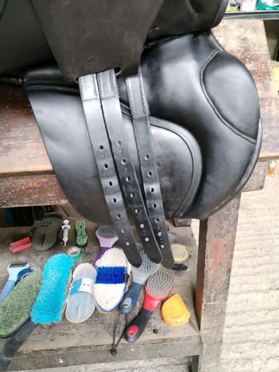 18" Wide/X-Wide English Saddle - Image 2