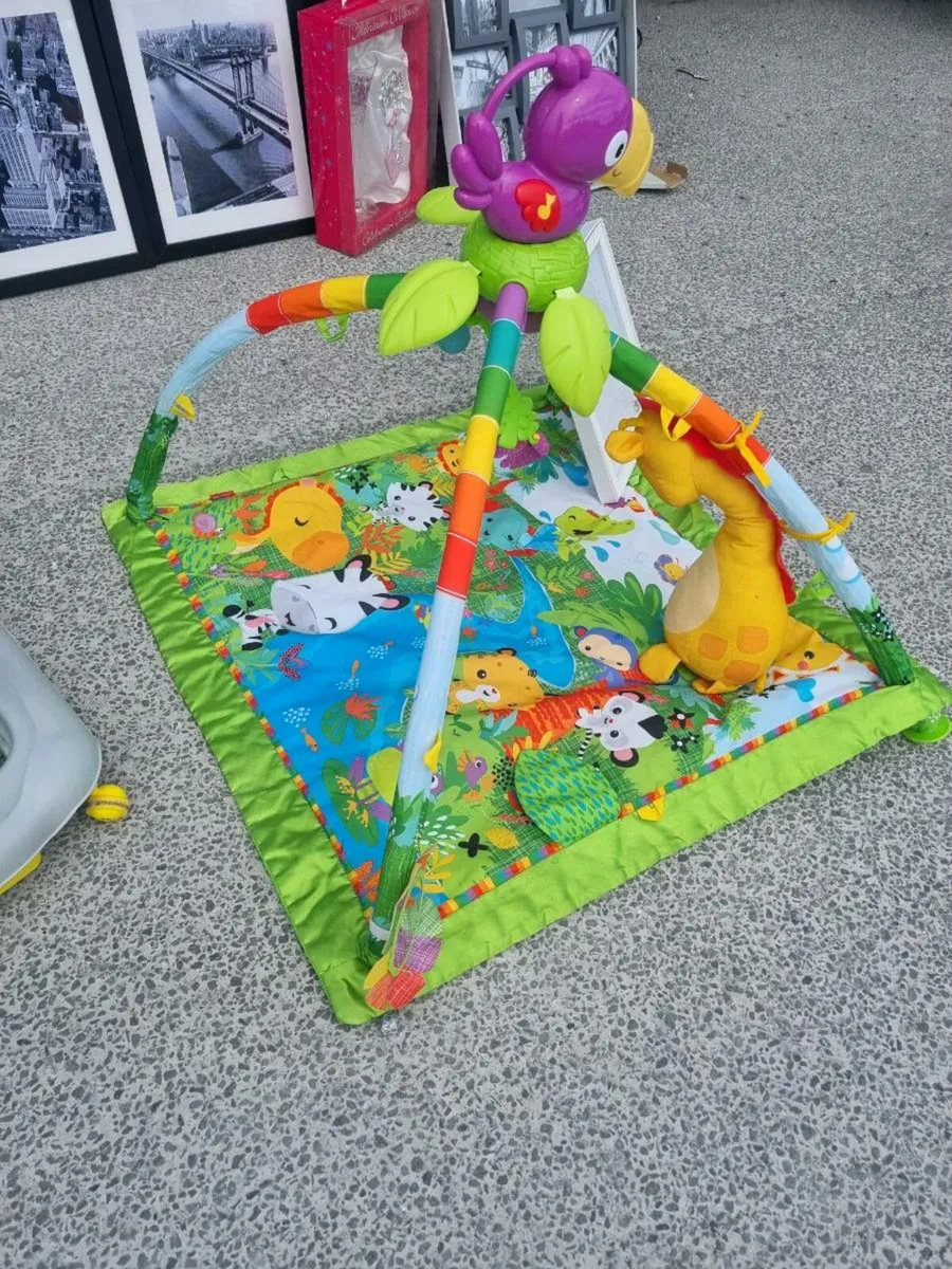Playmat and Jumperoo - Image 1