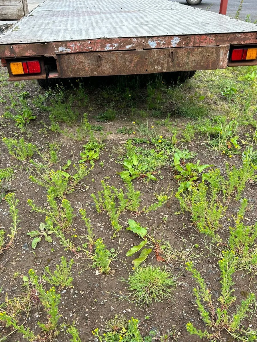 Flat Trailer - Image 4