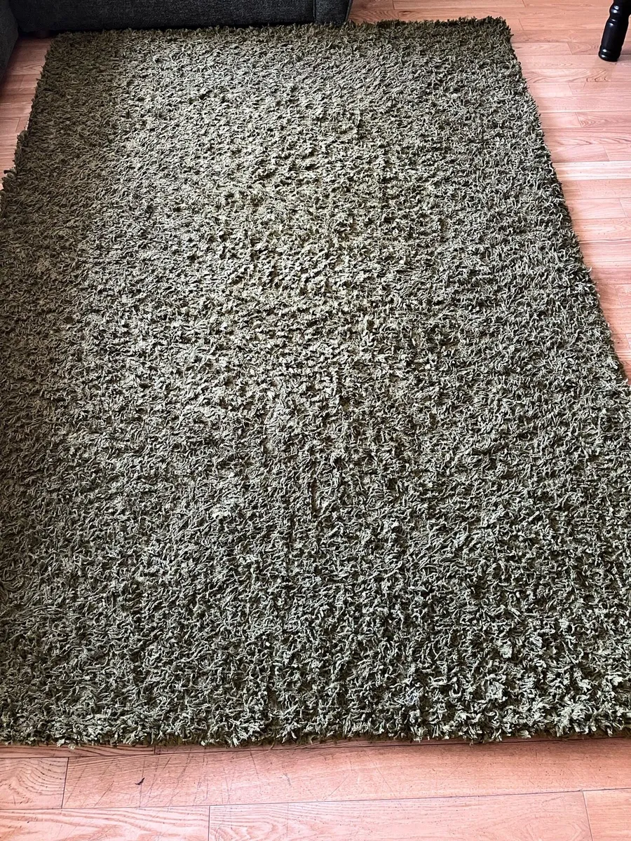 Large Green Rug - Image 1