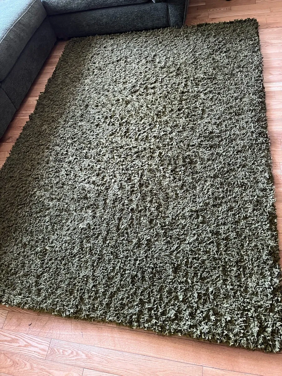 Large Green Rug - Image 3