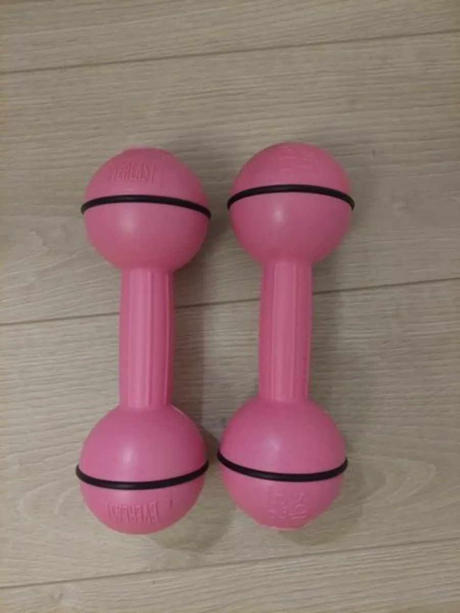 Everlast dumbbell set2.5lbs/1.134kg