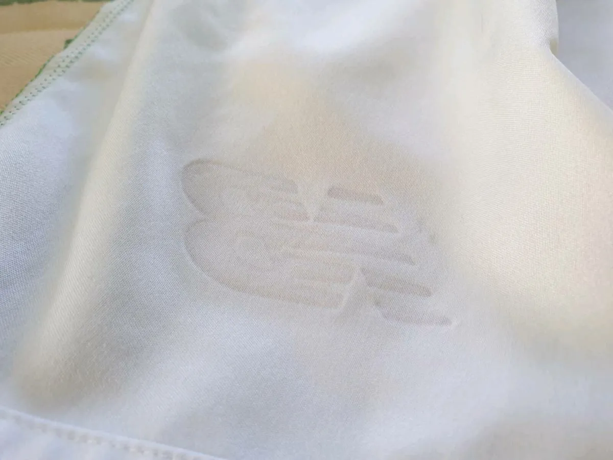 Ireland Home Football Shorts 2016 to 2017 Medium - Image 4