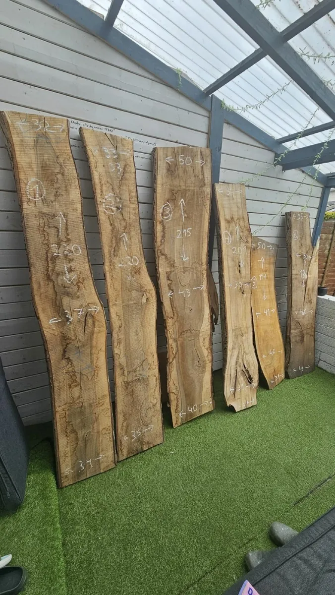 Live Edge Walnut - Image 1