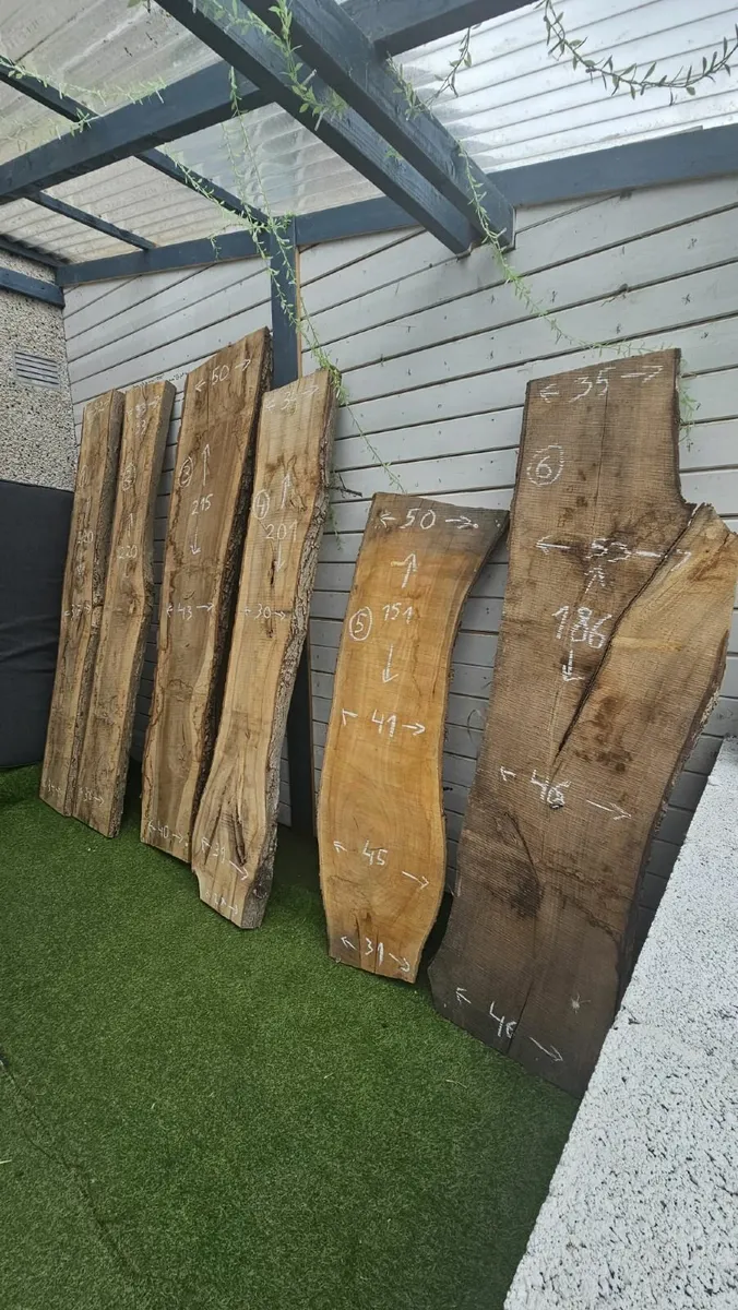 Live Edge Walnut - Image 2