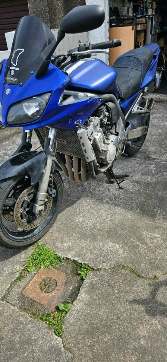 Yamaha Fazer FZS1000 - 2001 - Image 3