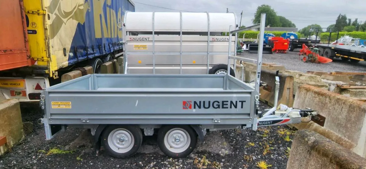 Nugent 8x5 - Image 2