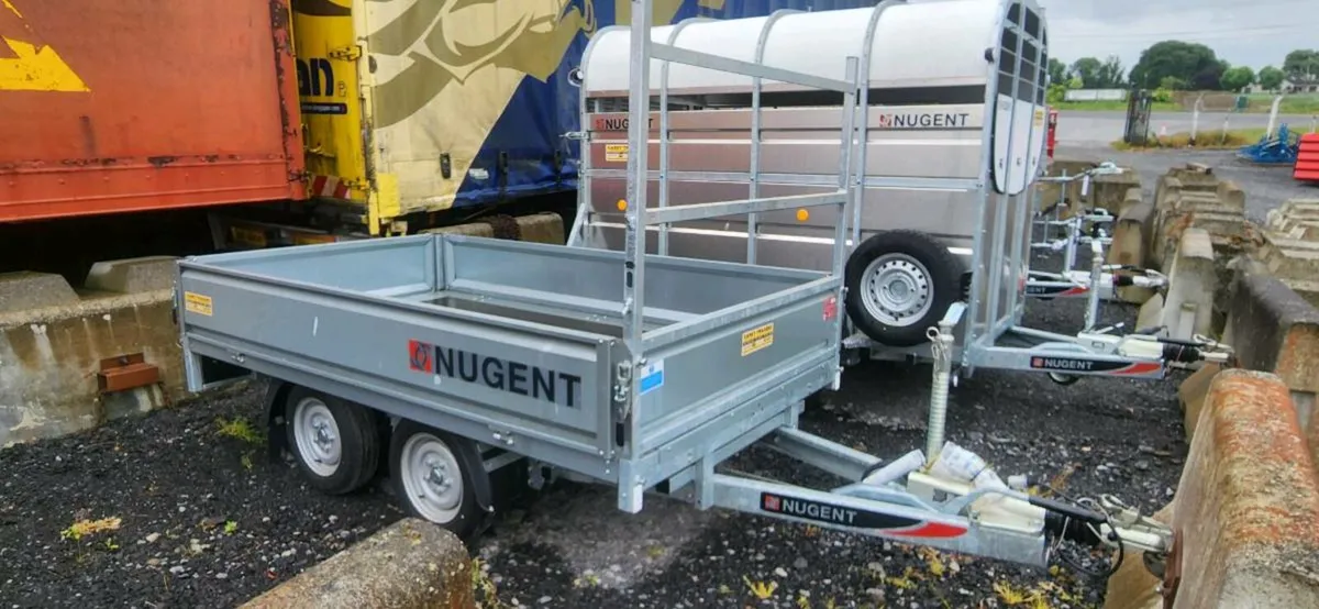 Nugent 8x5 - Image 3