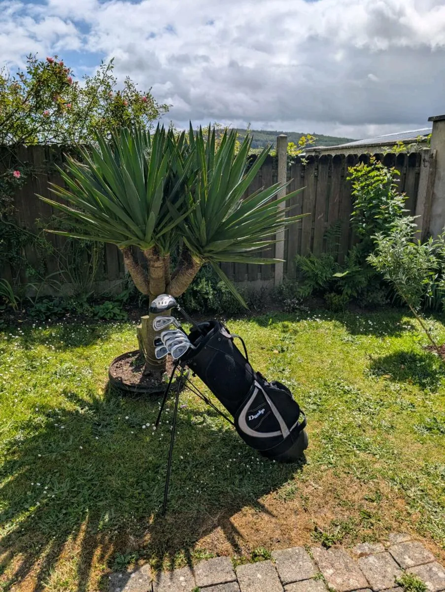 Dunlop graphite  Golf clubs need gone today - Image 1