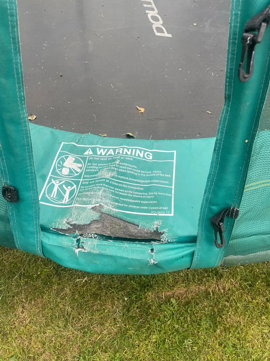 Trampoline - Image 2