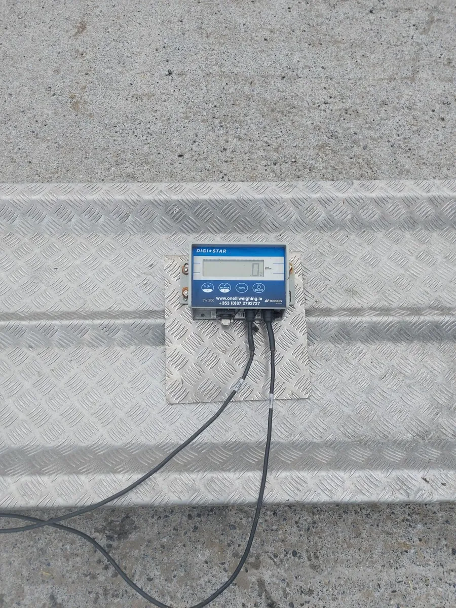Cattle scales - Image 2