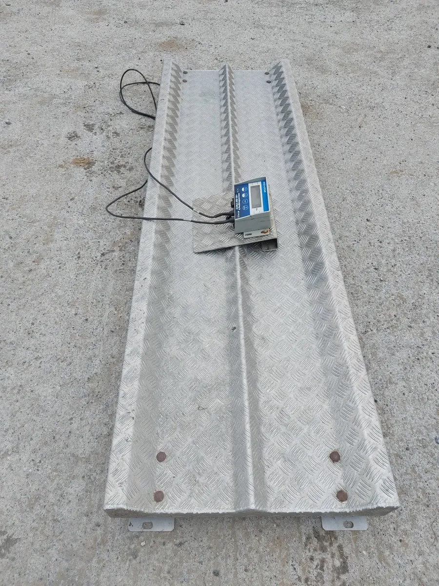 Cattle scales - Image 3