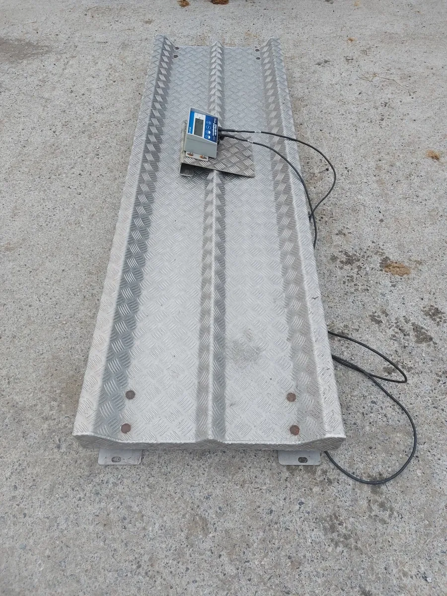Cattle scales - Image 4